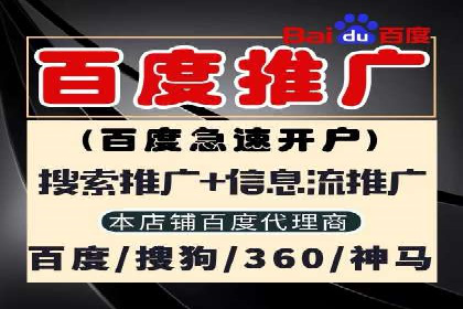 成功案例：SEM代运营服务公司助力企业品牌影响力提升